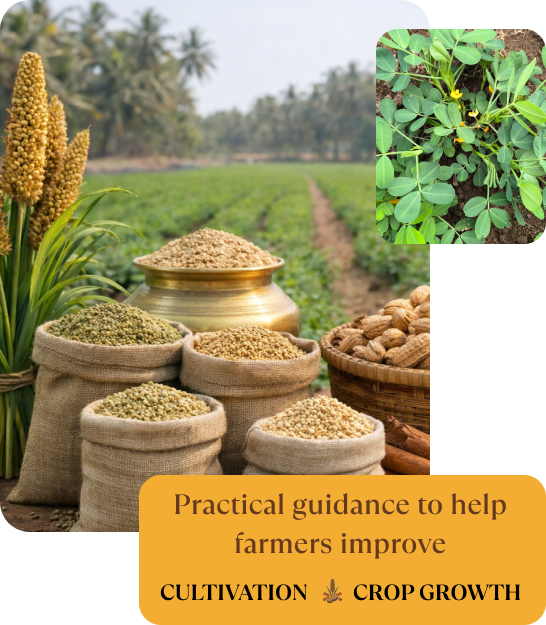 Salem farmer fresh agricultural products