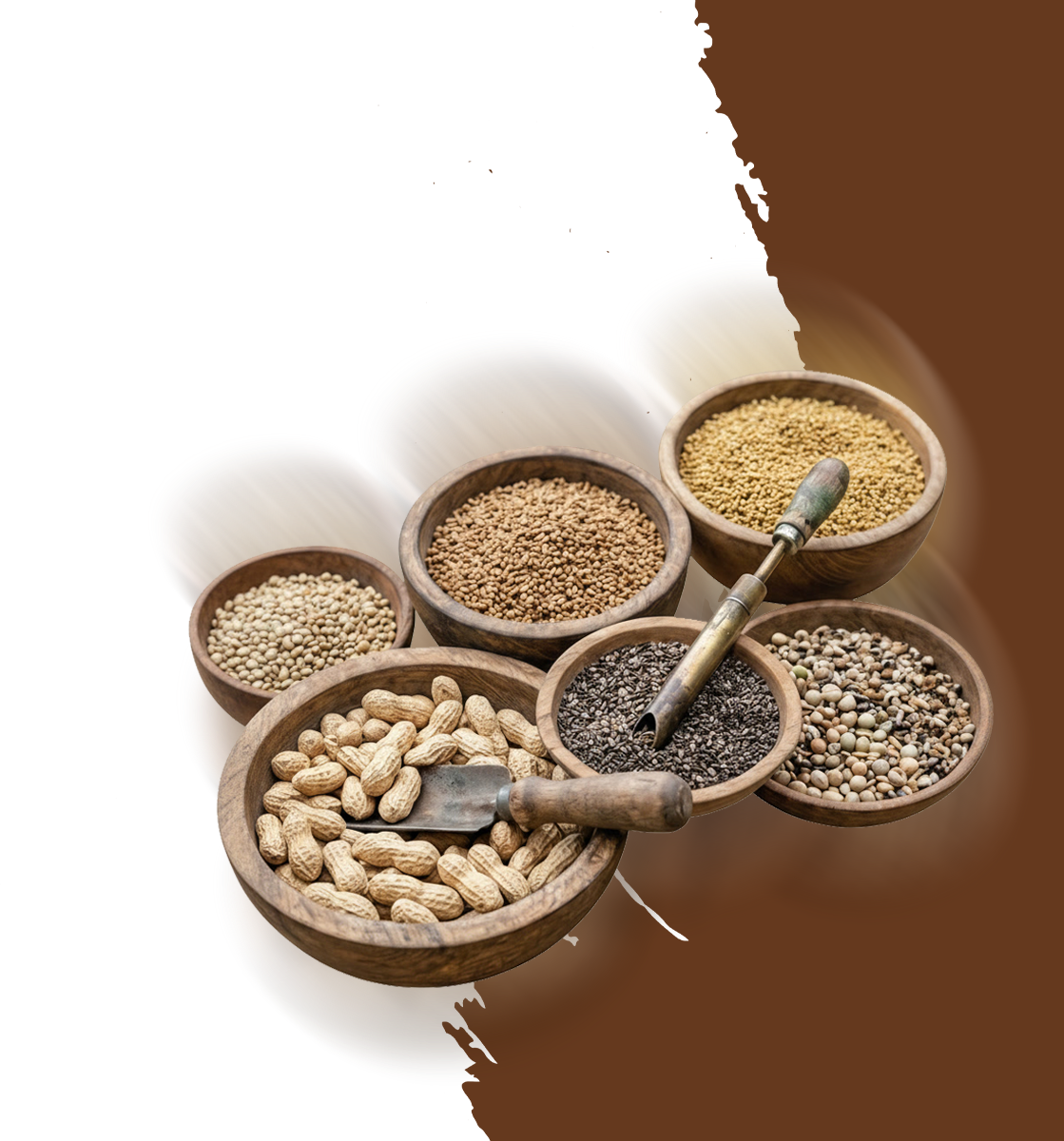 Salem farmer fresh agricultural products
