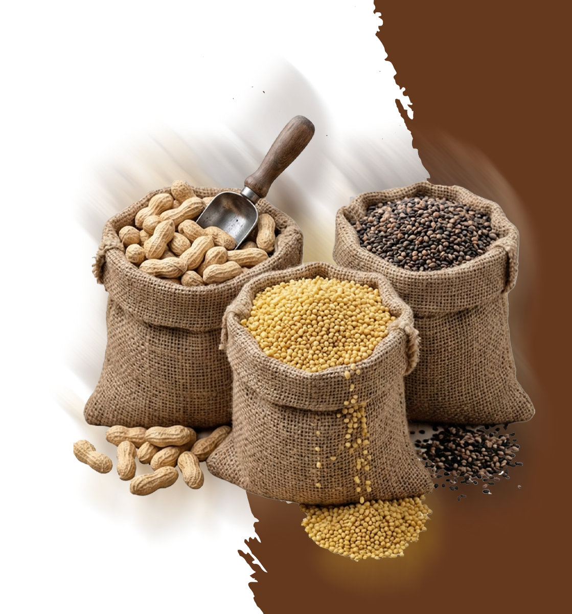 Salem farmer fresh agricultural products